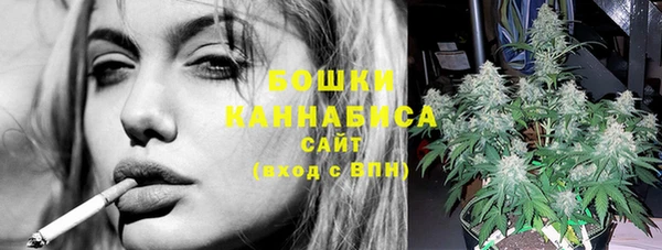 spice Алексин